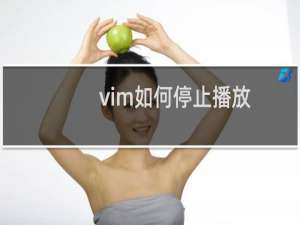 vim如何停止播放