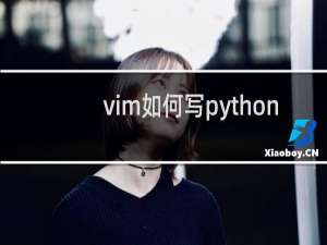 vim如何写python