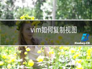 vim如何复制视图