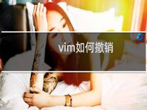 vim如何撤销