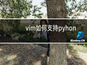 vim如何支持pyhon