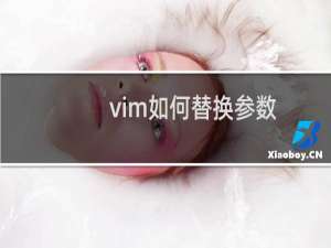 vim如何替换参数