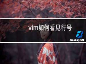 vim如何看见行号