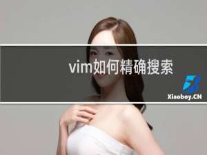 vim如何精确搜索