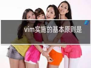 vim实施的基本原则是