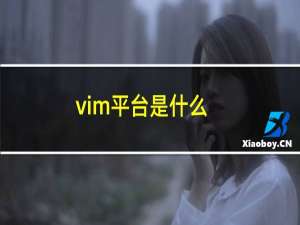 vim平台是什么