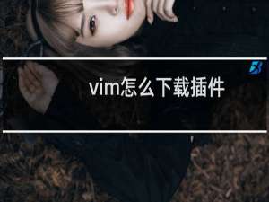 vim怎么下载插件