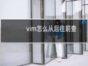 vim怎么从后往前查