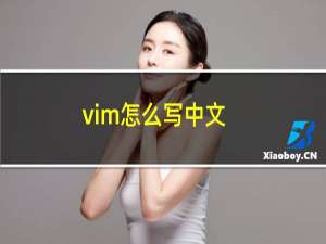 vim怎么写中文