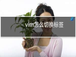 vim怎么切换标签