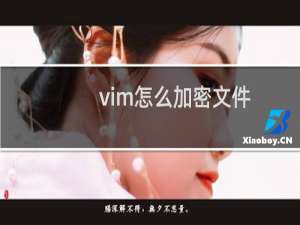 vim怎么加密文件