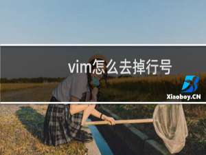 vim怎么去掉行号