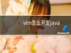 vim怎么开发java