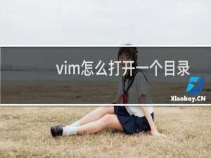 vim怎么打开一个目录