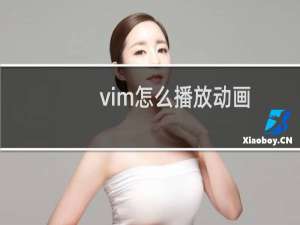 vim怎么播放动画