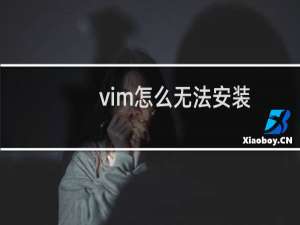 vim怎么无法安装