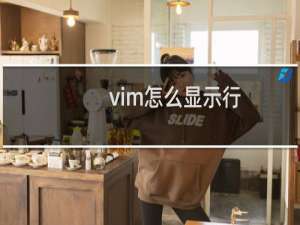 vim怎么显示行