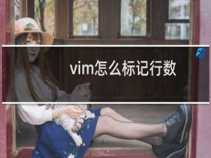 vim怎么标记行数