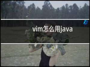 vim怎么用java