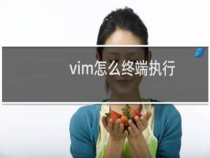 vim怎么终端执行