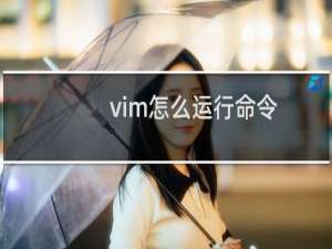 vim怎么运行命令