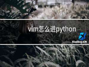 vim怎么进python