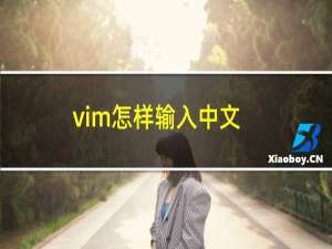 vim怎样输入中文