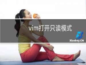 vim打开只读模式