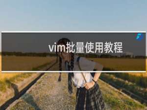 vim批量使用教程