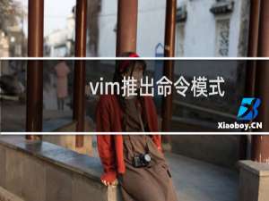 vim推出命令模式