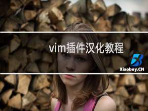 vim插件汉化教程