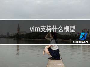 vim支持什么模型