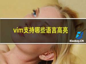 vim支持哪些语言高亮