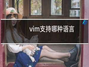 vim支持哪种语言