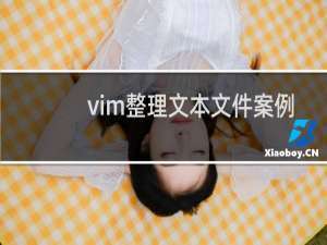 vim整理文本文件案例