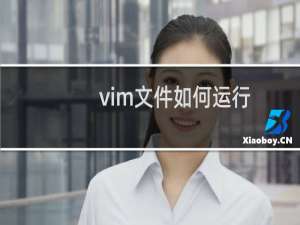 vim文件如何运行