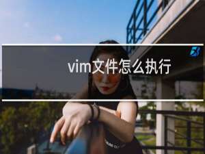 vim文件怎么执行
