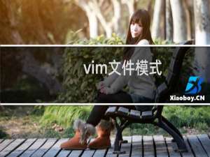 vim文件模式