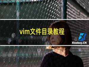vim文件目录教程