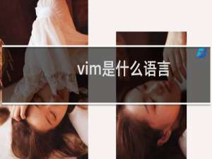 vim是什么语言