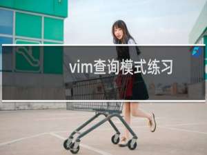 vim查询模式练习