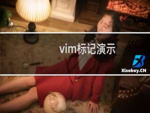 vim标记演示