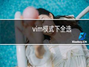 vim模式下全选