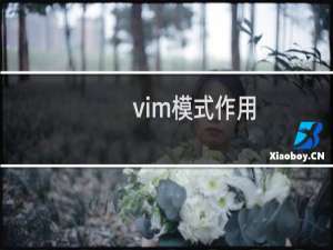 vim模式作用