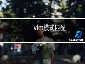 vim模式匹配