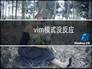 vim模式没反应