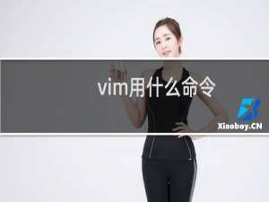 vim用什么命令