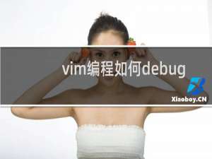 vim编程如何debug