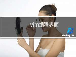 vim编程界面