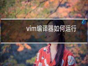 vim编译器如何运行